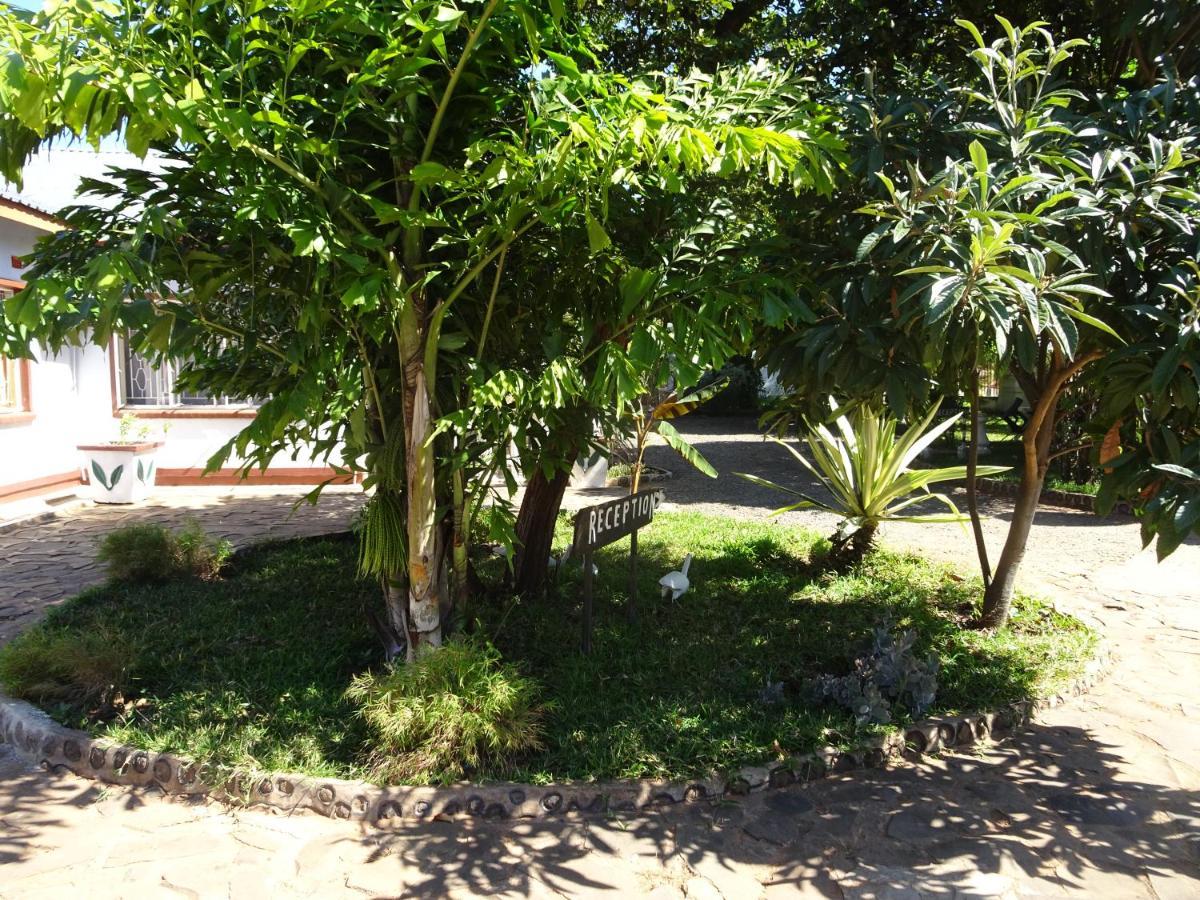 ליבינגסטון White Rose Lodge מראה חיצוני תמונה